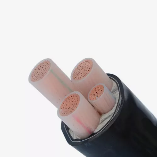 Cáp điện STA bọc cách điện PVC chống cháy